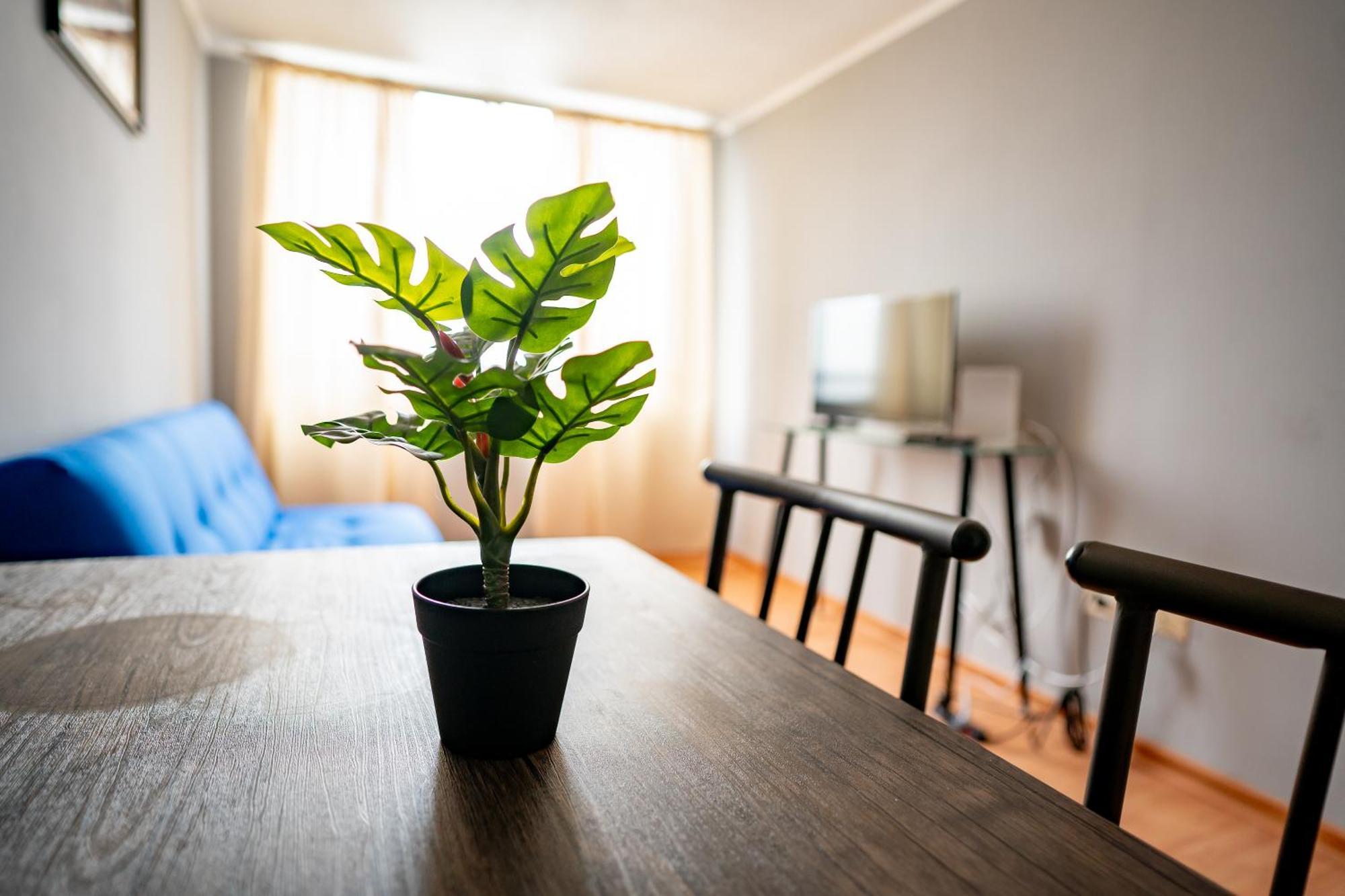 Apartamento Increible Y Comodo Departamento Amoblado De Fantasilandia Santiago